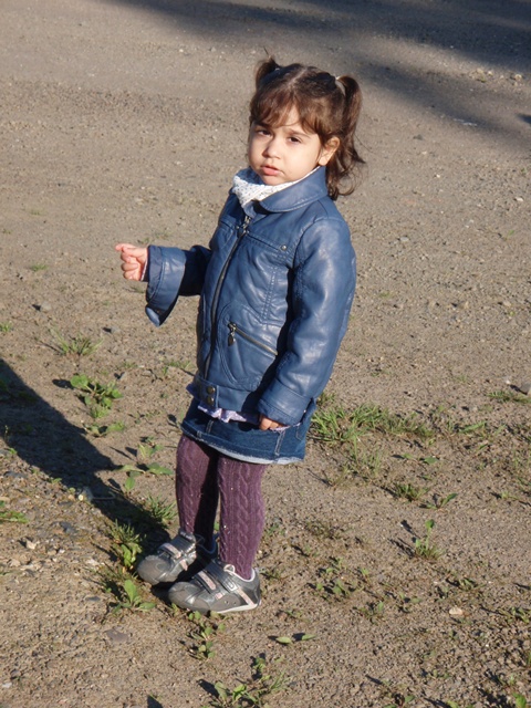 05.JPG